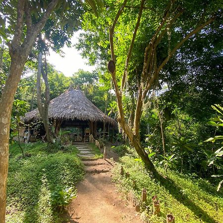Hostal Paraiso Tayrona Kogui Los Naranjos Esterno foto